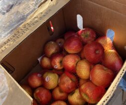 A box of apples